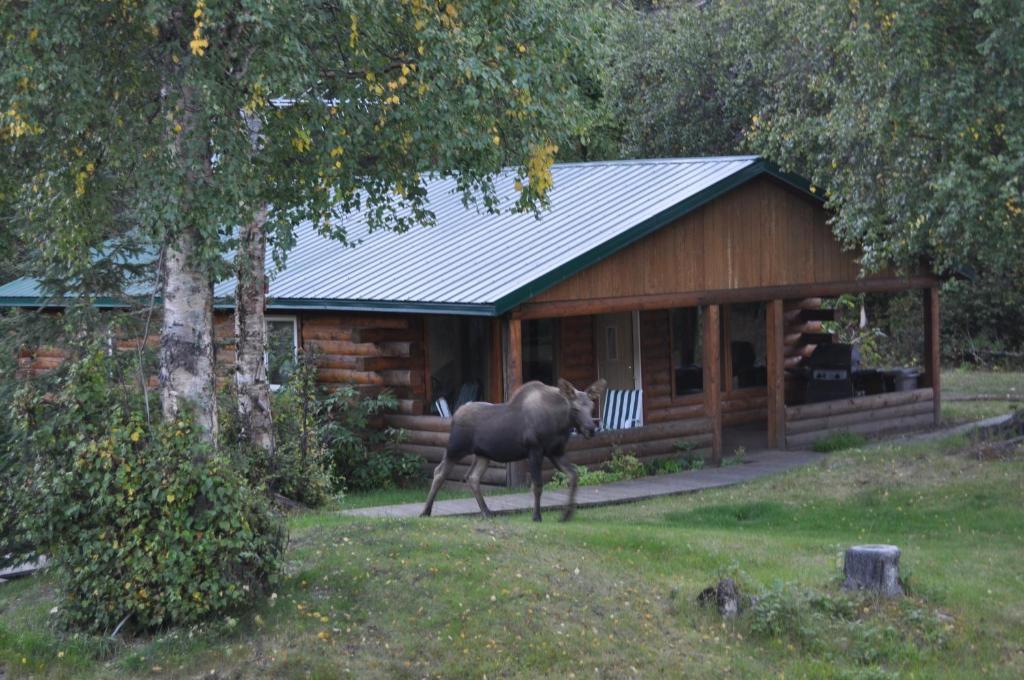 Daniels Lake Lodge Cabins Nikiski Bilik gambar