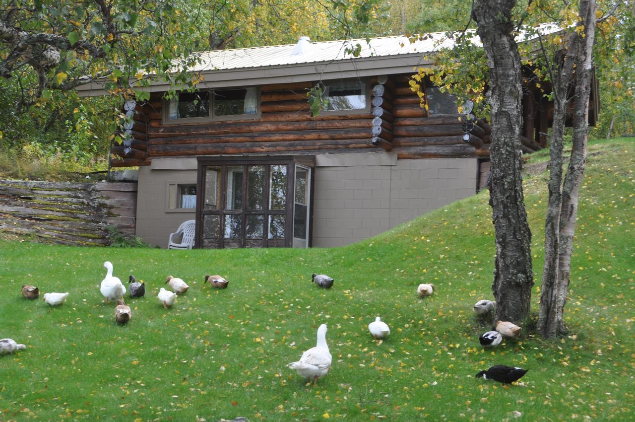 Daniels Lake Lodge Cabins Nikiski Luaran gambar
